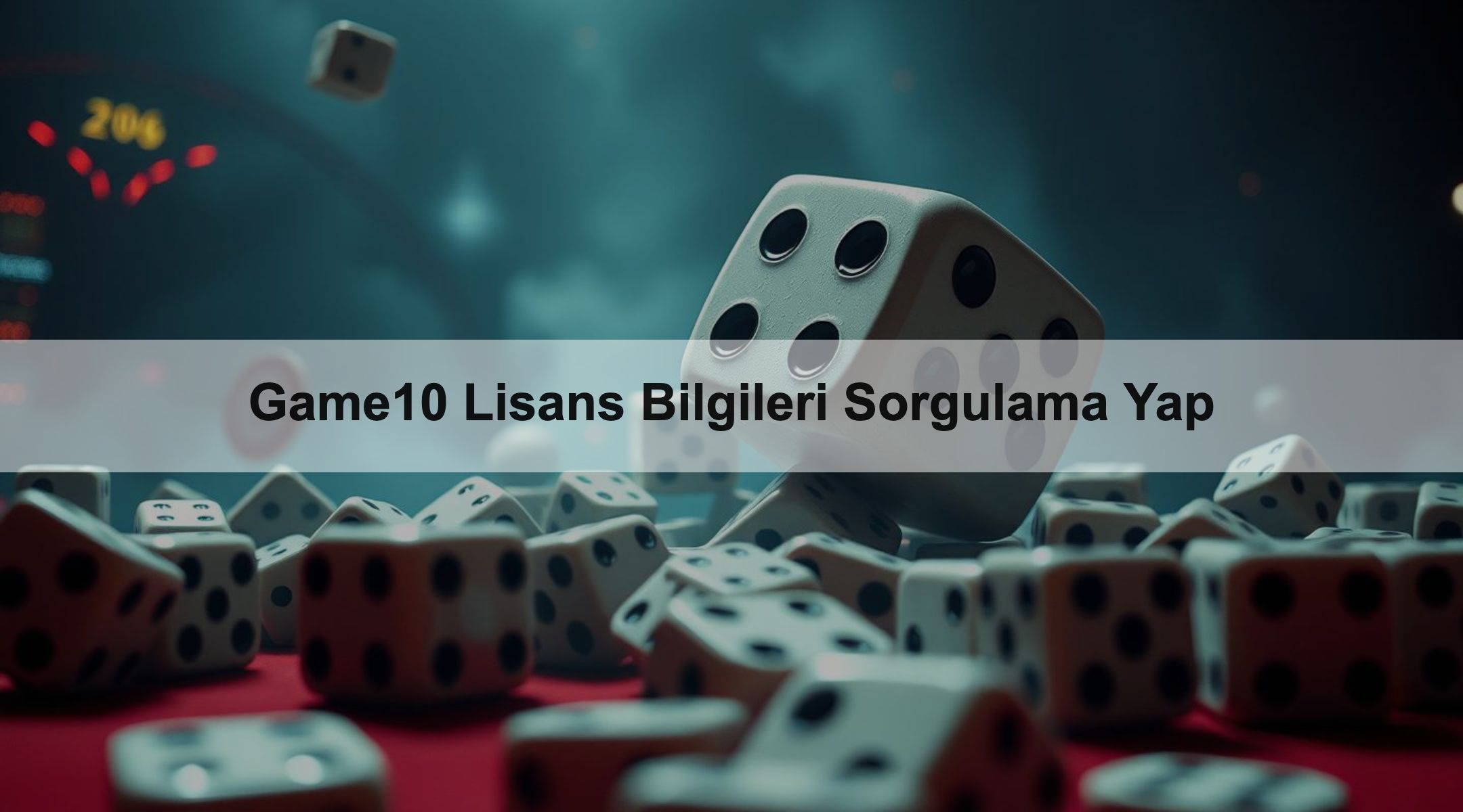 Game10 Lisans Bilgileri Sorgulama Yap